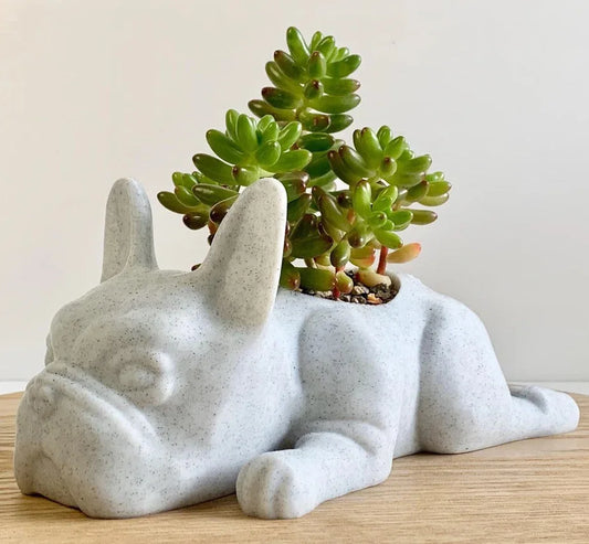 Cute Mini Frenchie Planter Pot