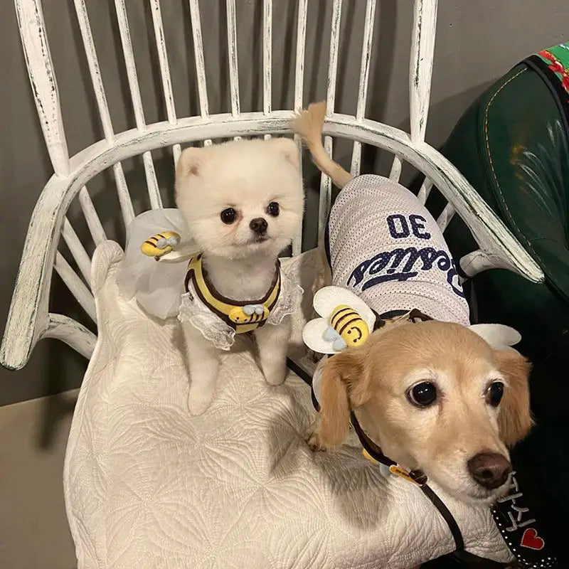 Bee Style Dog Harness