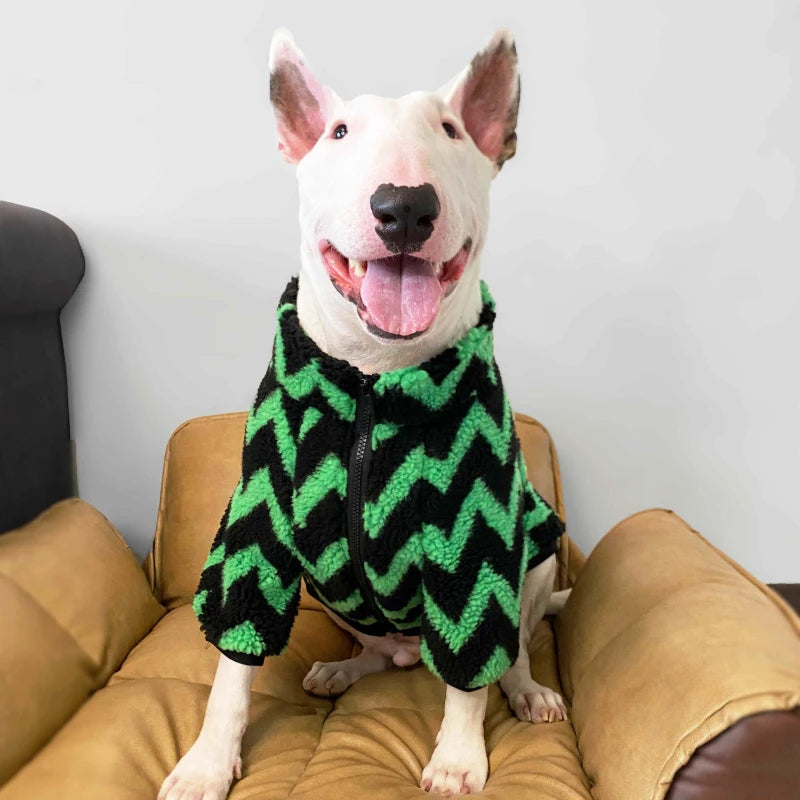 Bull Terrier Striped Winter Jacket