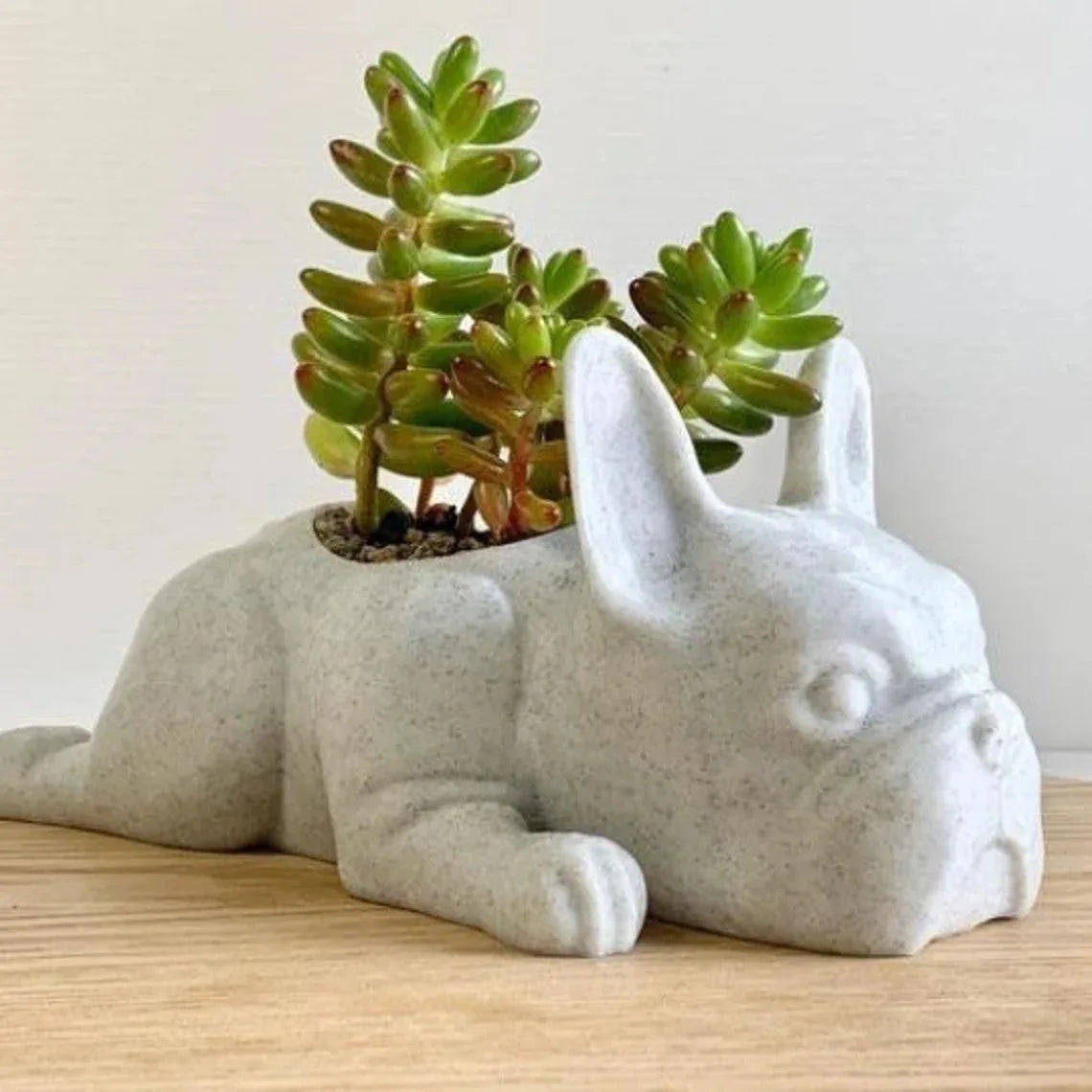 Cute Mini Frenchie Planter Pot