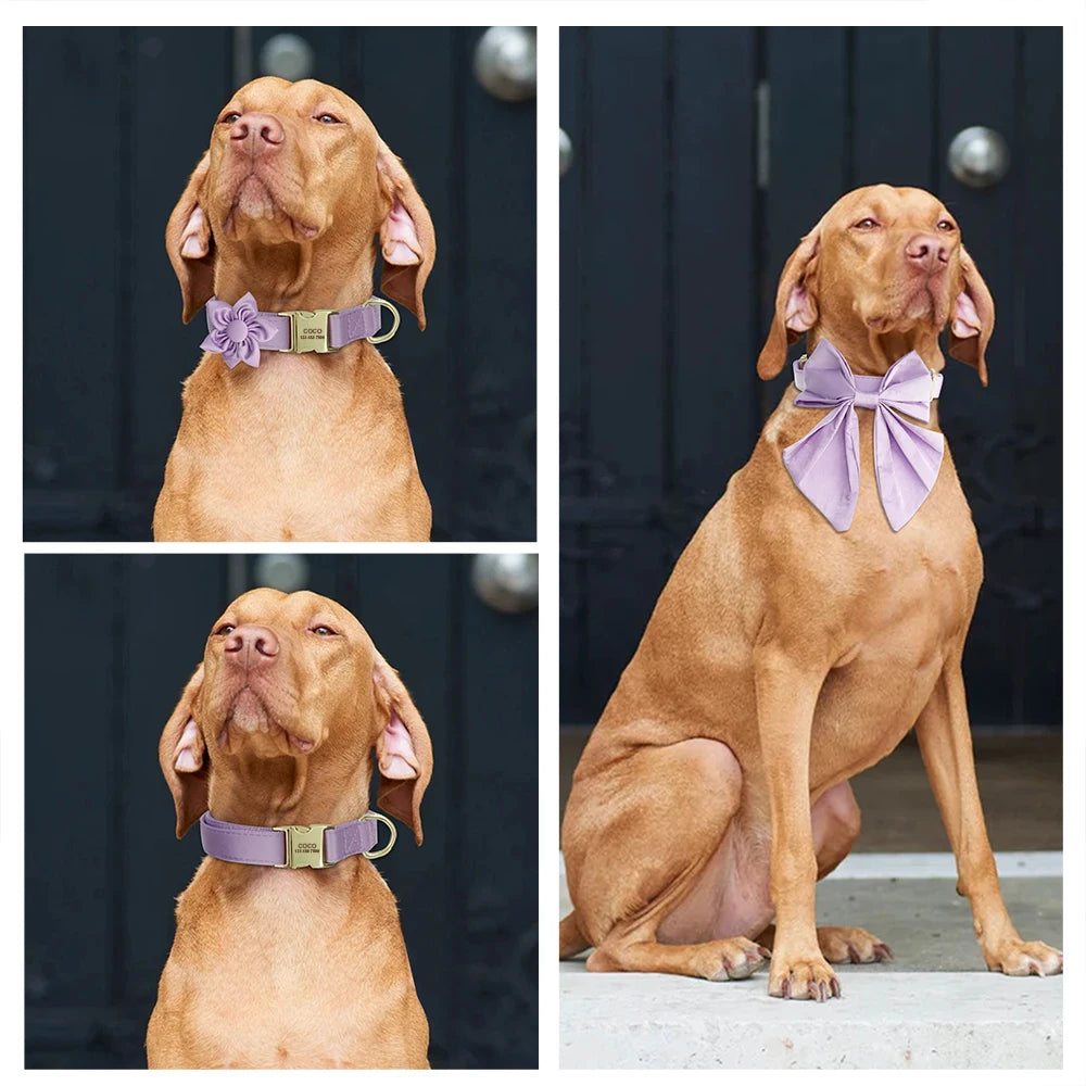 Custom Dog Wedding Bowtie