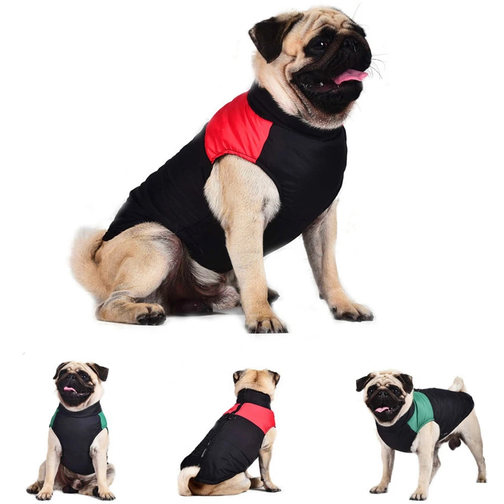 Pug Jackets For Winter