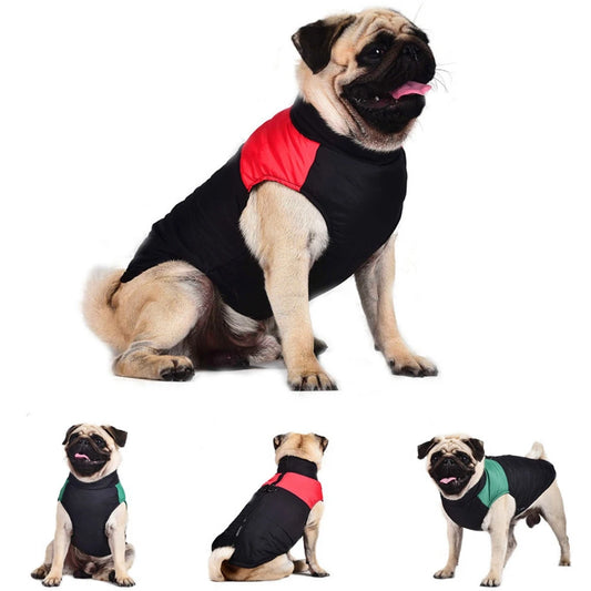 Pug Jackets For Winter