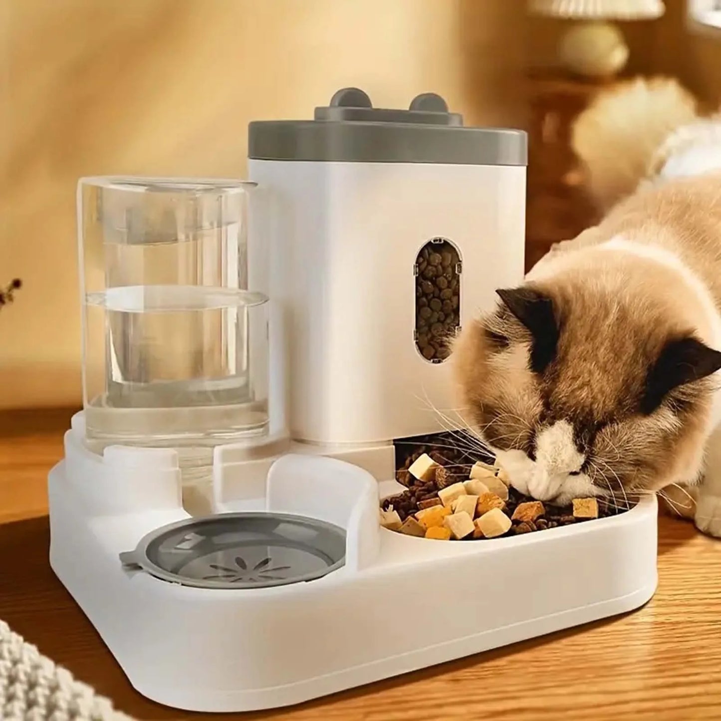 2 in 1 Automatic Pet Feeder