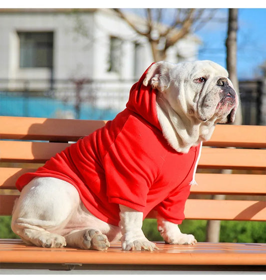 Hoodies For English Bulldog