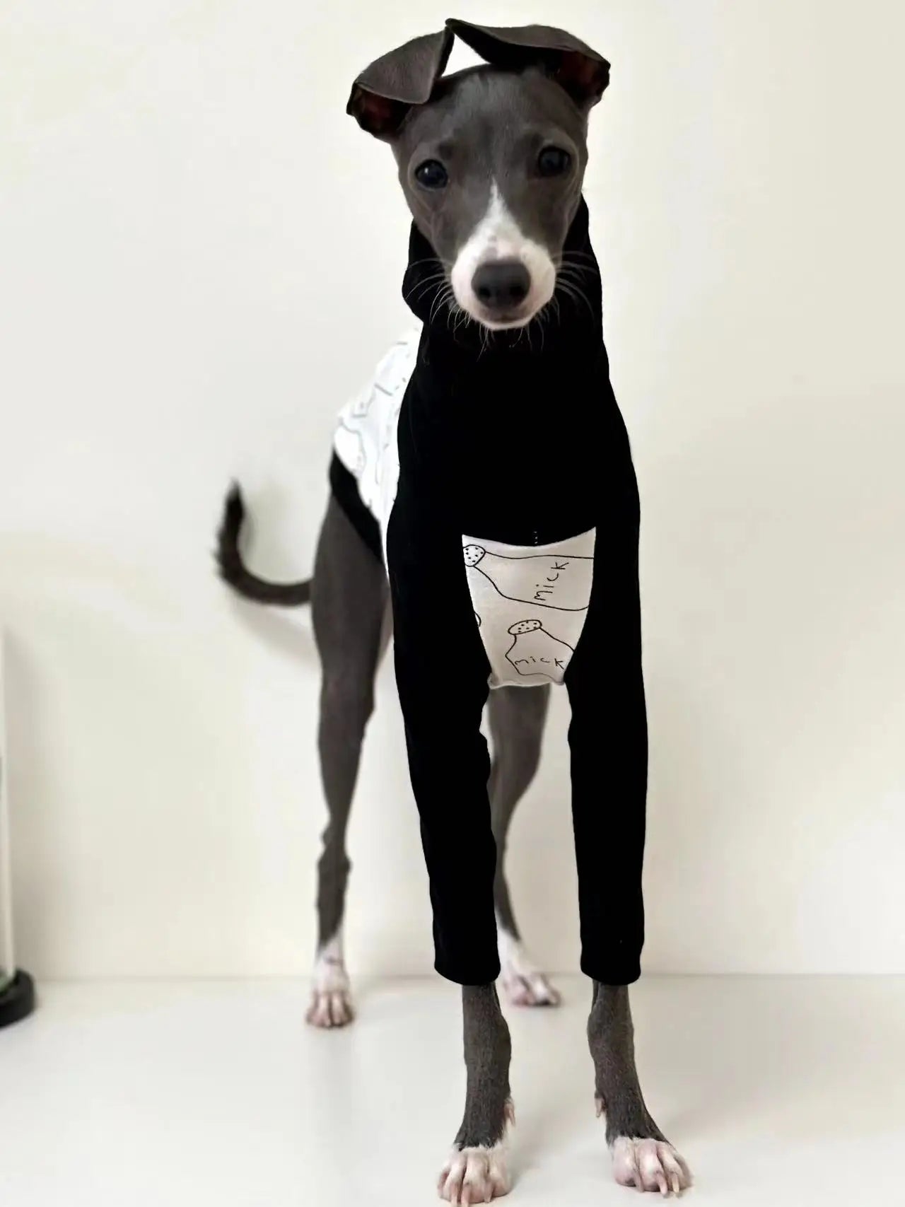 Whippet High Collar Sweater