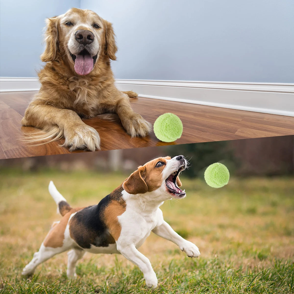 Active Pet Dog Rolling Ball