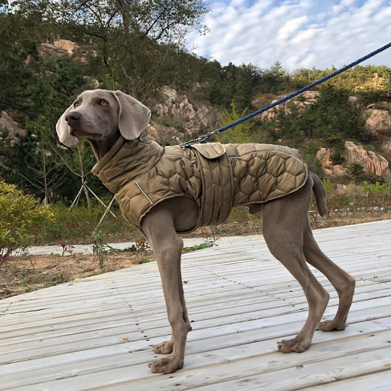 Weimaraner Winter Vest Coat