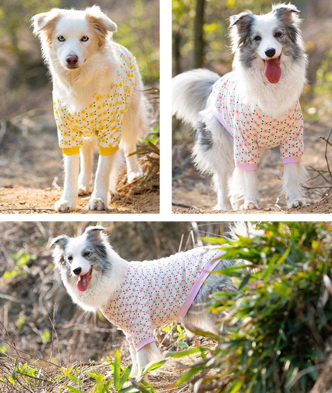 Aussie Short Sleeved Spring Sweater