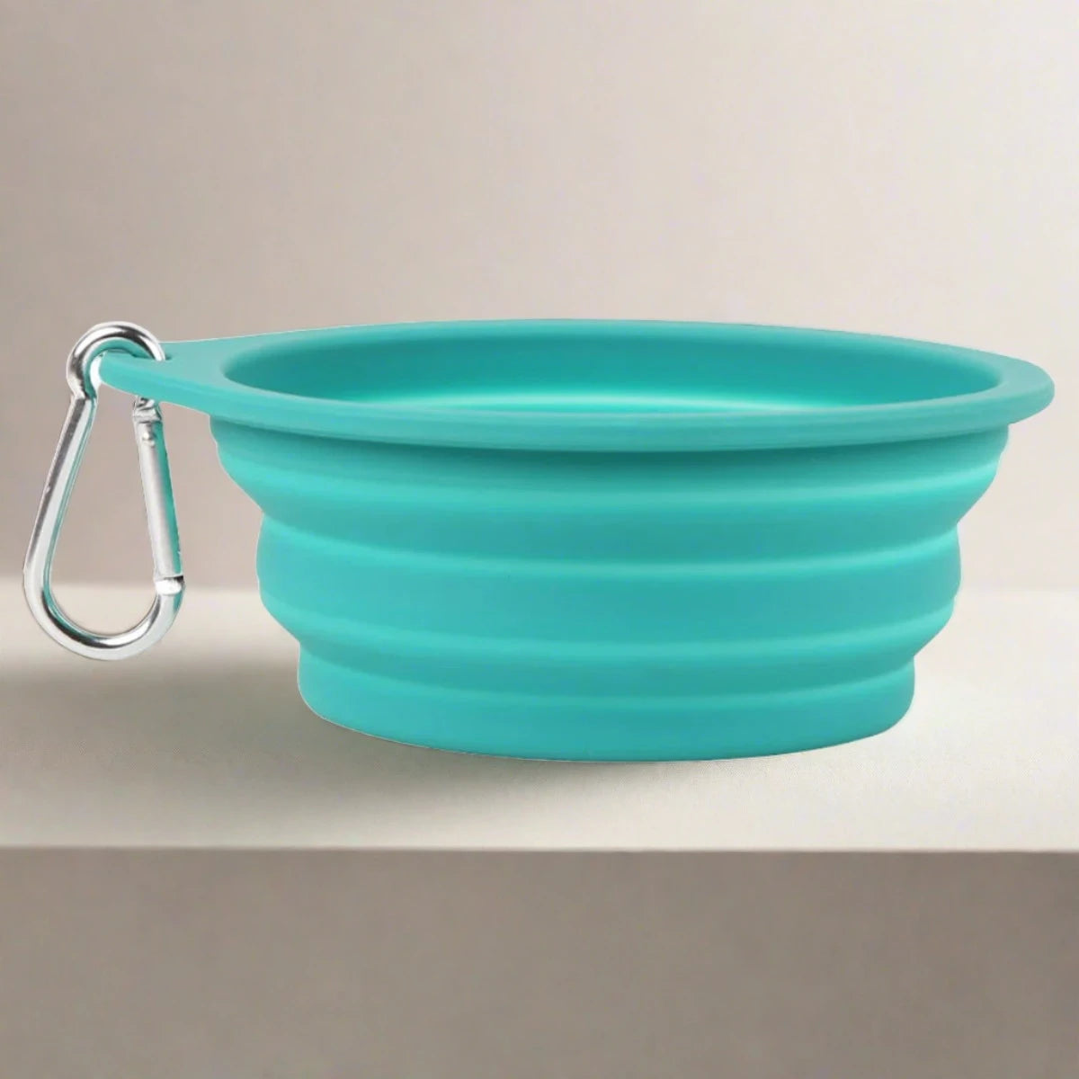 Foldable Pet Feeding Bowl