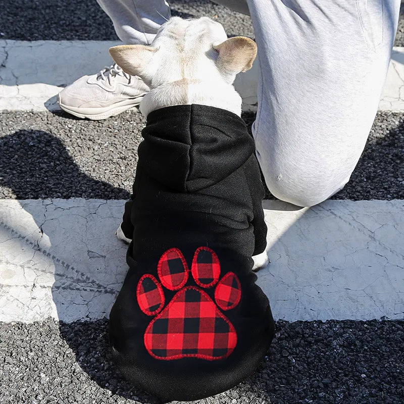 Frenchie Stylish Winter Hoodies