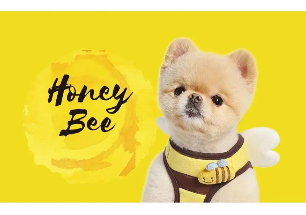 Bee Style Dog Harness