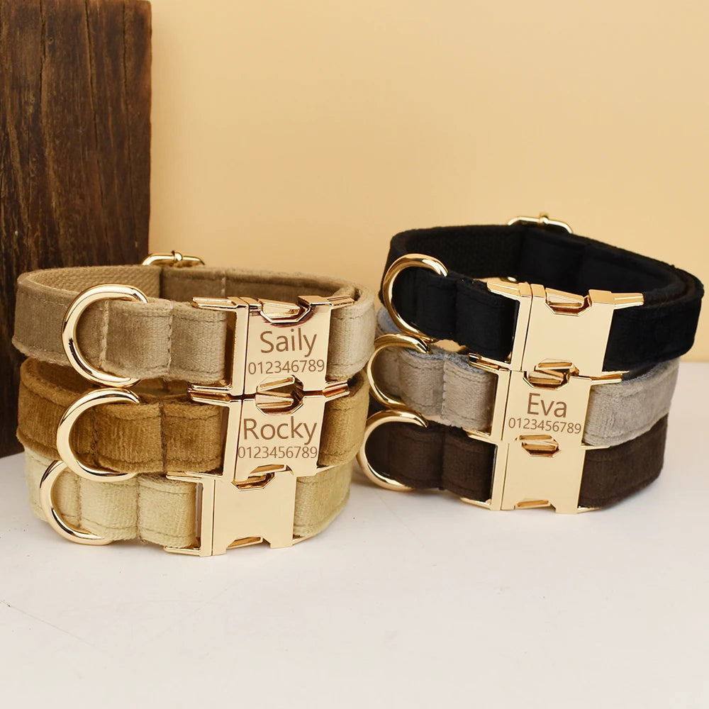 Luxury Custom Dog Collar Set