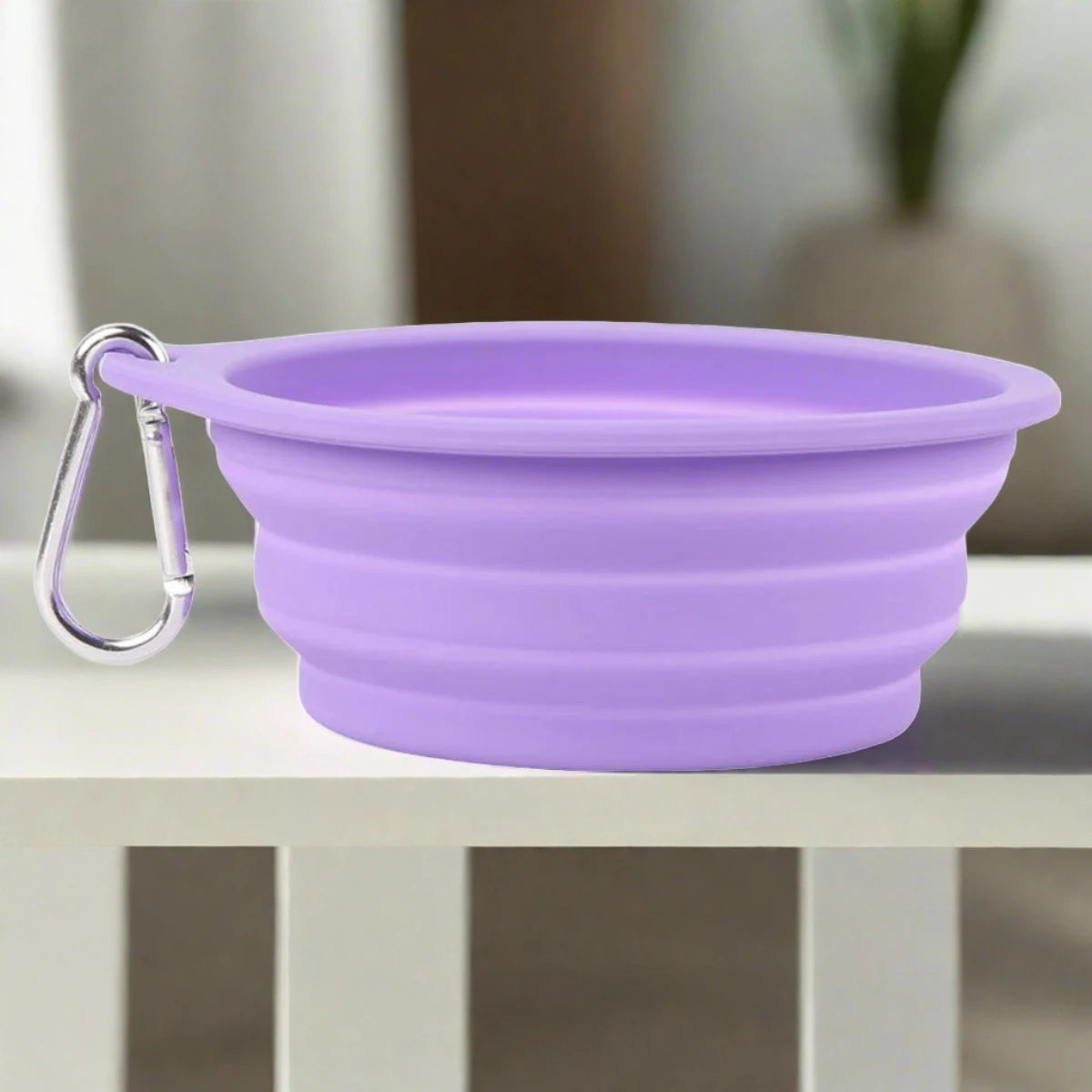 Foldable Pet Feeding Bowl