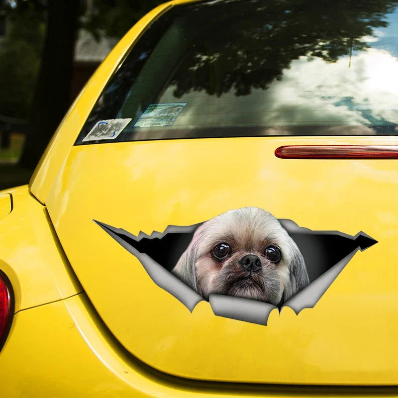 Adorable Shih Tzu Car Sticker