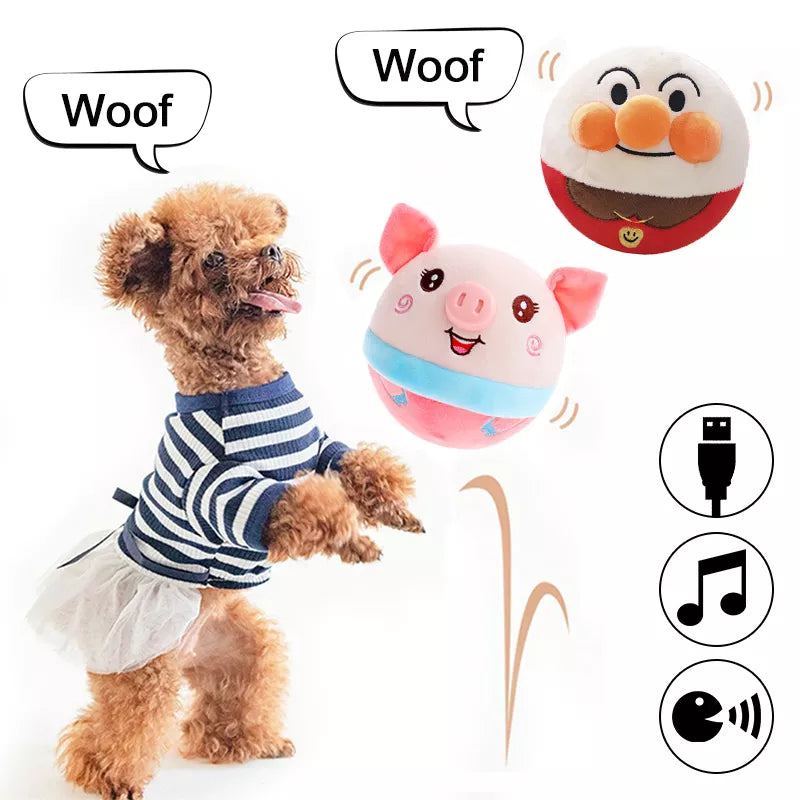 Dog Rechargeable Bouncing & Talking Ball