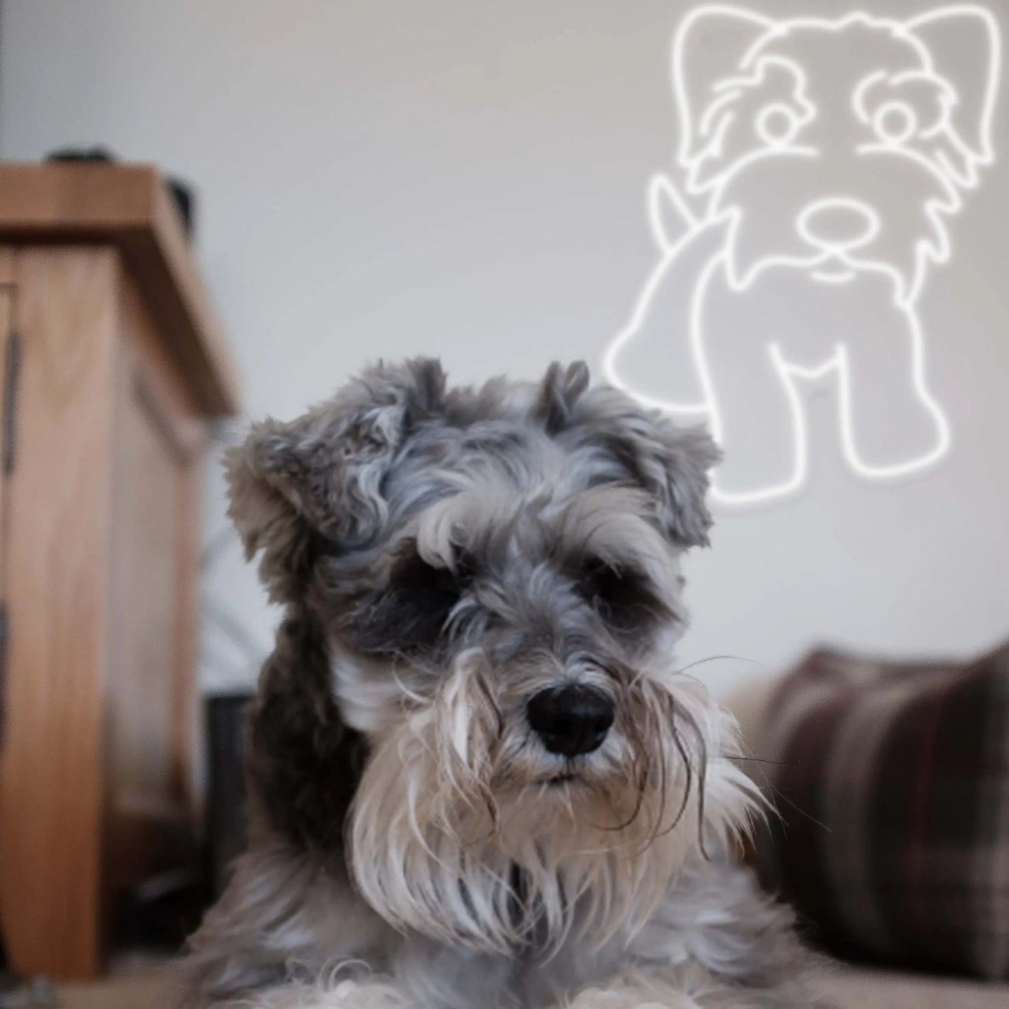 Schnauzer LED Sign Decor