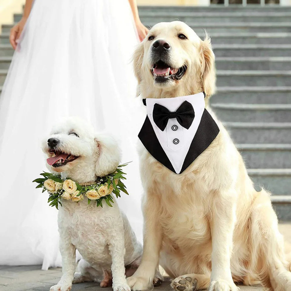 Bernese Adjustable Dog Bow Tie