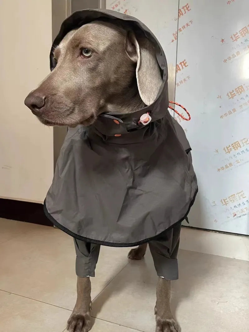 Waterproof Weimaraner Full Cover Raincoat