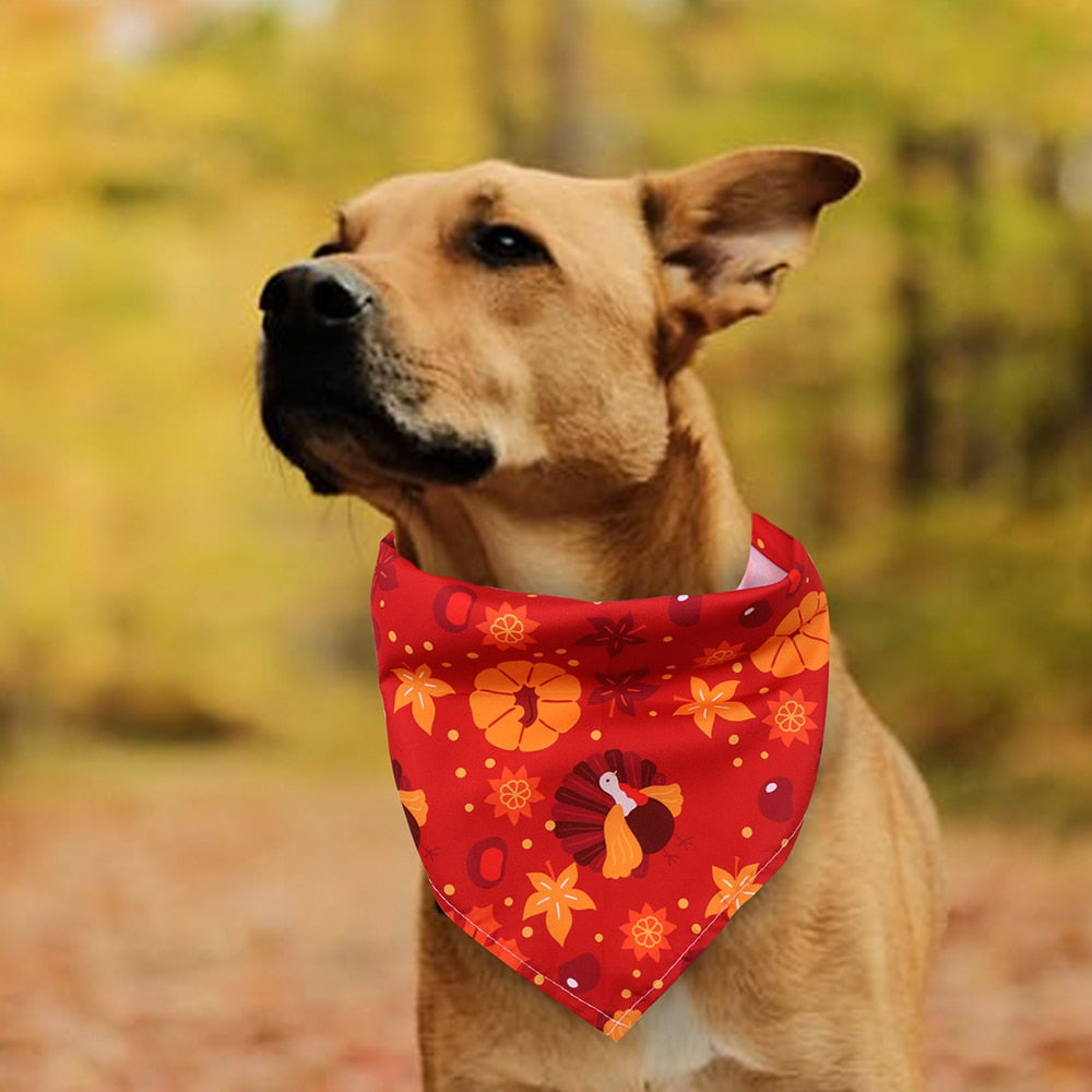 Fall Dog Bandanas