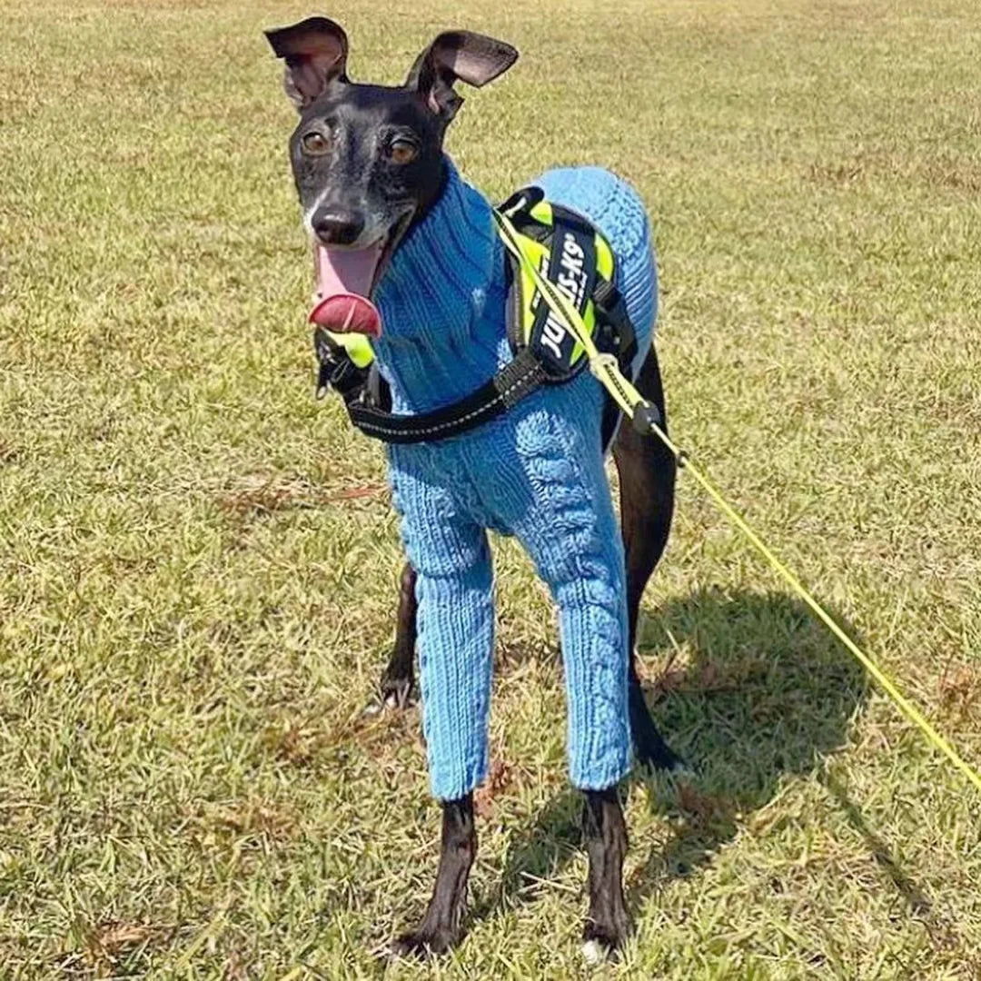 Whippet Classic Winter Sweater