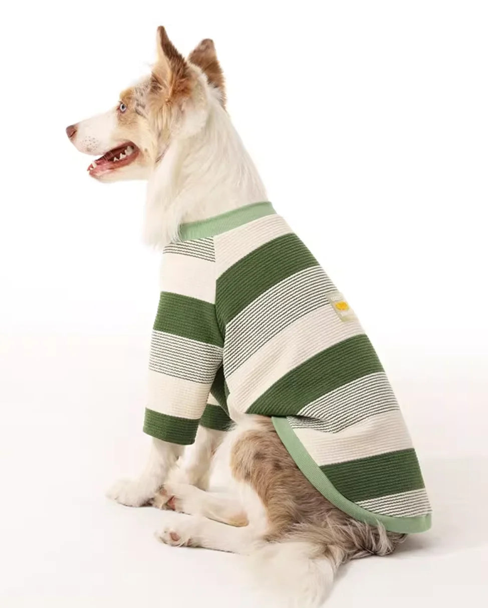 Border Collie Spring Winter Dress