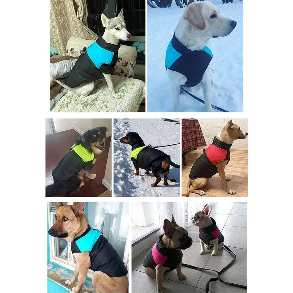 Dog Jackets For German Shepherd