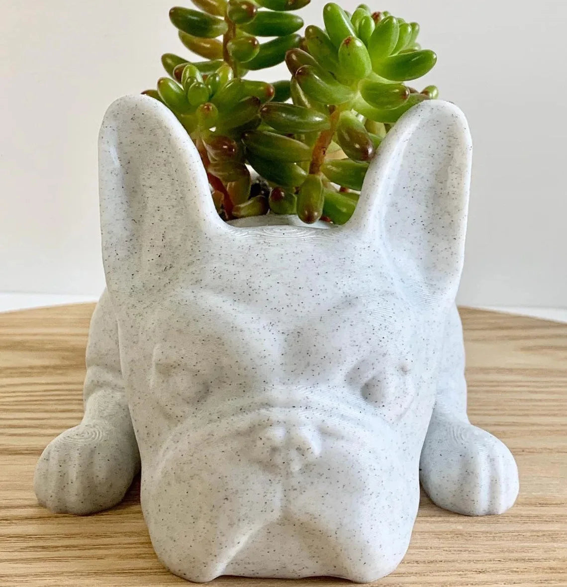 Cute Mini Frenchie Planter Pot