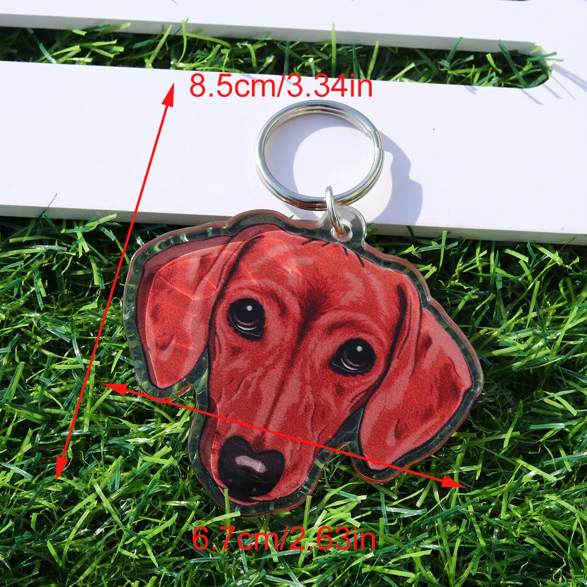 Dachshund  Cute Acrylic Keychain