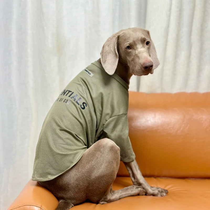 Weimaraner Thin Summer Dress