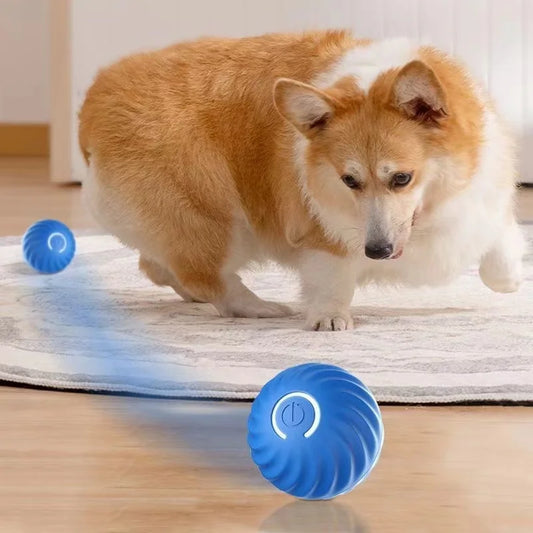 Dog Automatic Smart Ball Toy