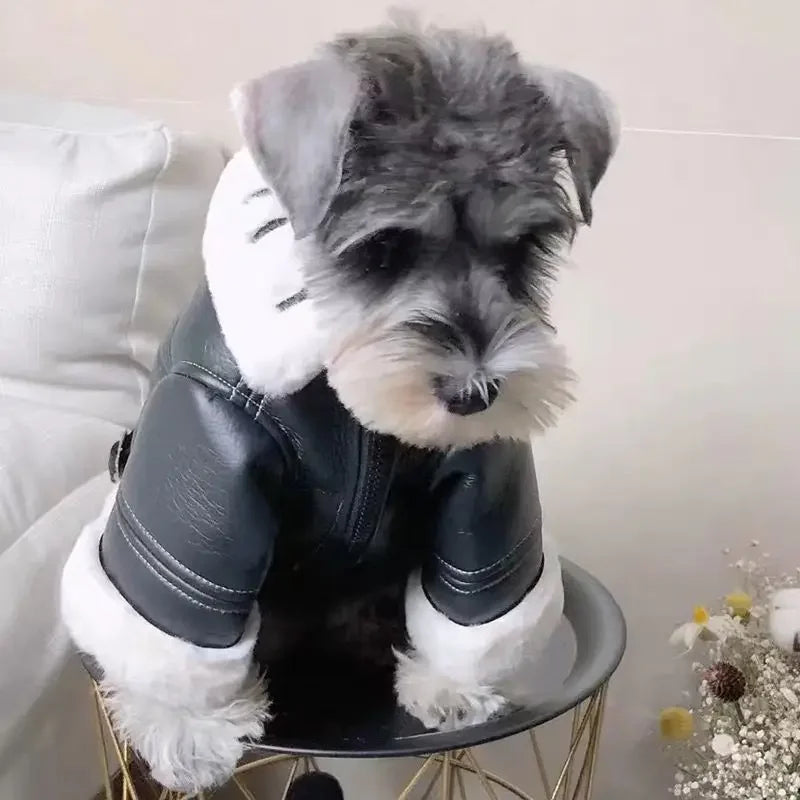 Schnauzer Trendy Leather Jackets