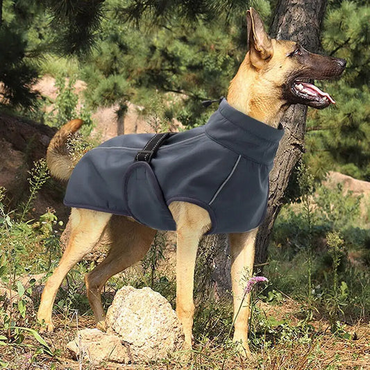 Waterproof Malinois Winter Jacket