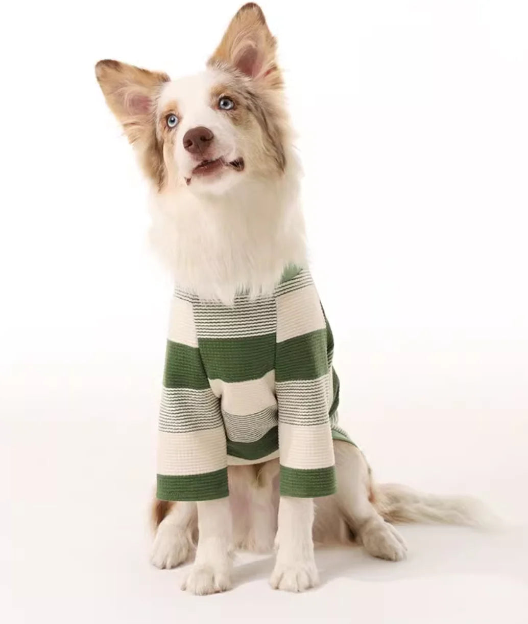 Border Collie Spring Winter Dress