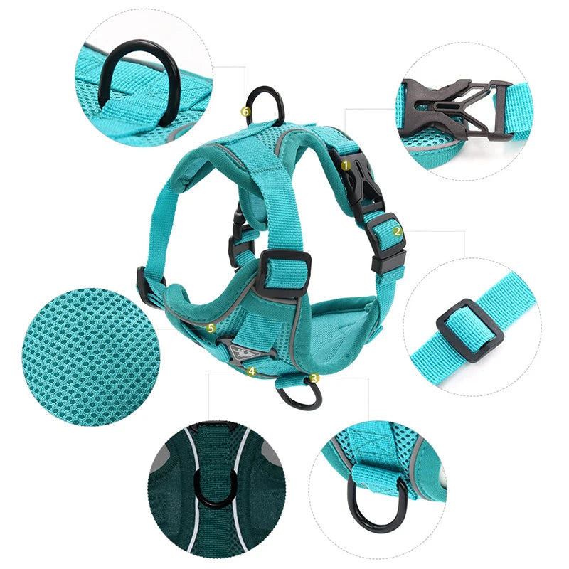 Dog Harness Leash Set