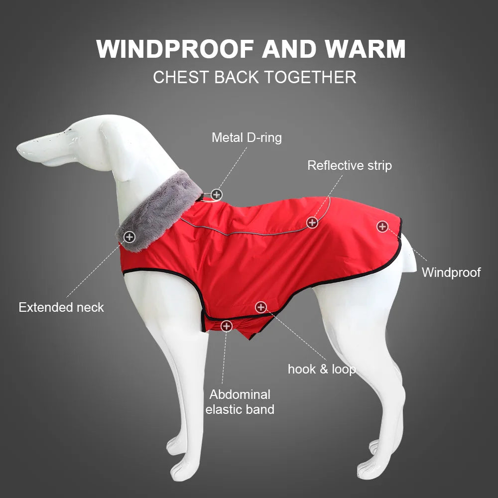 GS Pointer Winter Coat