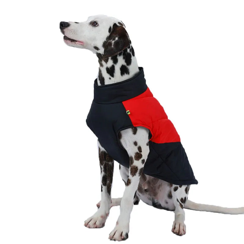 Dalmatian Waterproof Winter Jacket