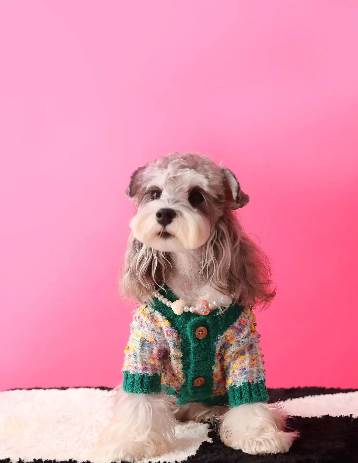 Schnauzer Winter Designer Sweater