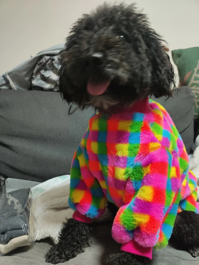 Winter Weimaraner Colorful Sweater