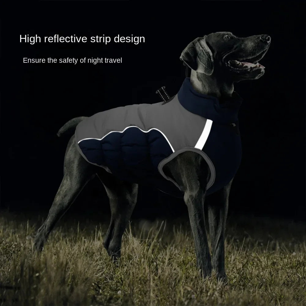 Windproof Winter Jacket for Weimaraner