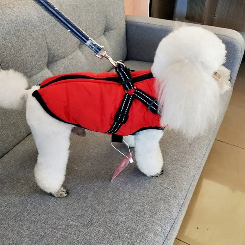 Bichon Frise Winter Harness Jacket