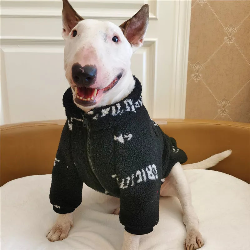 Bull Terrier Winter Coat