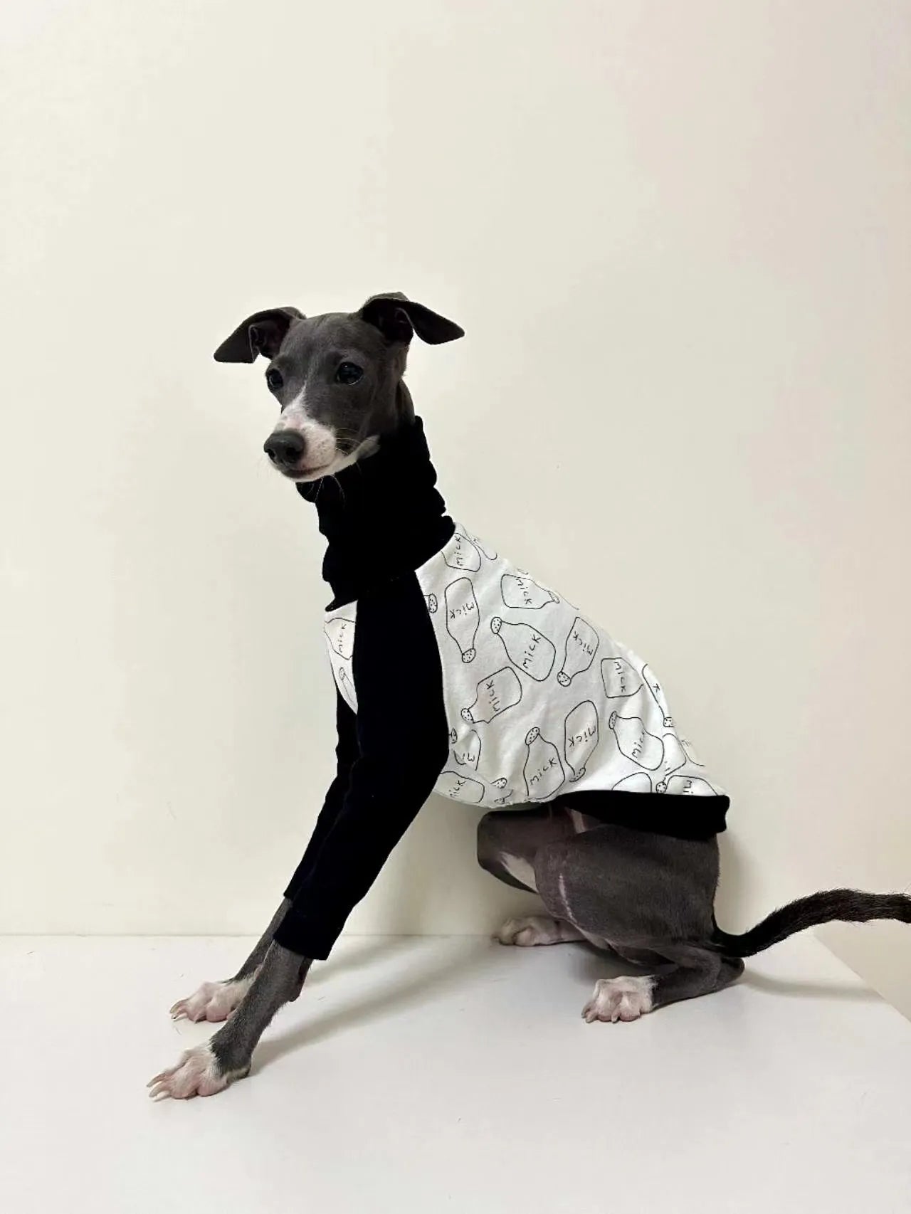 Whippet High Collar Sweater