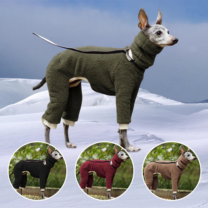 Winter Sweater For Whippet