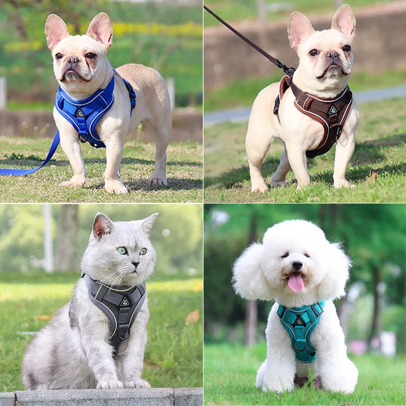 Dog Harness Leash Set