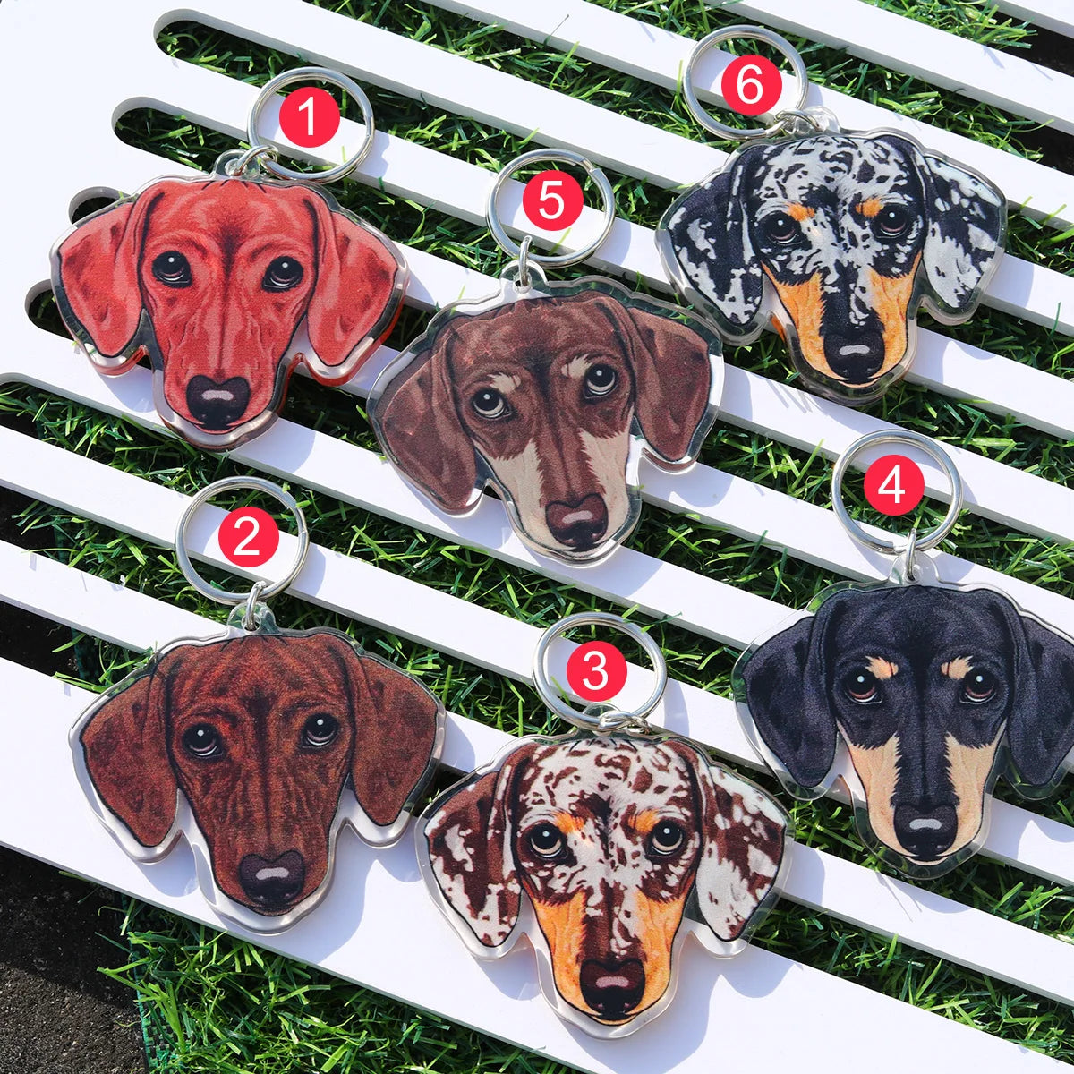 Dachshund  Cute Acrylic Keychain