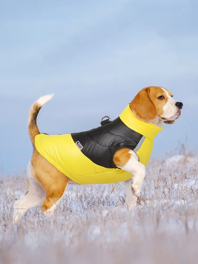 Beagle Warm Winter Jacket