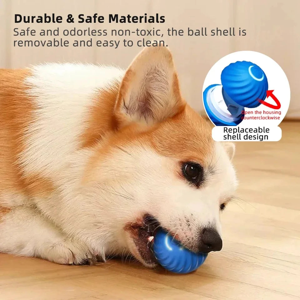 Dog Automatic Smart Ball Toy