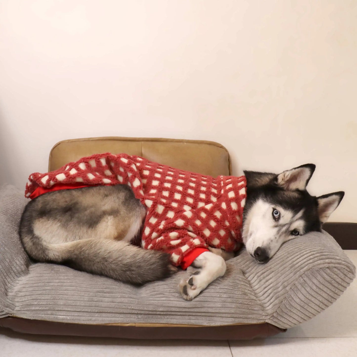 Husky Plaid Winter Sweater