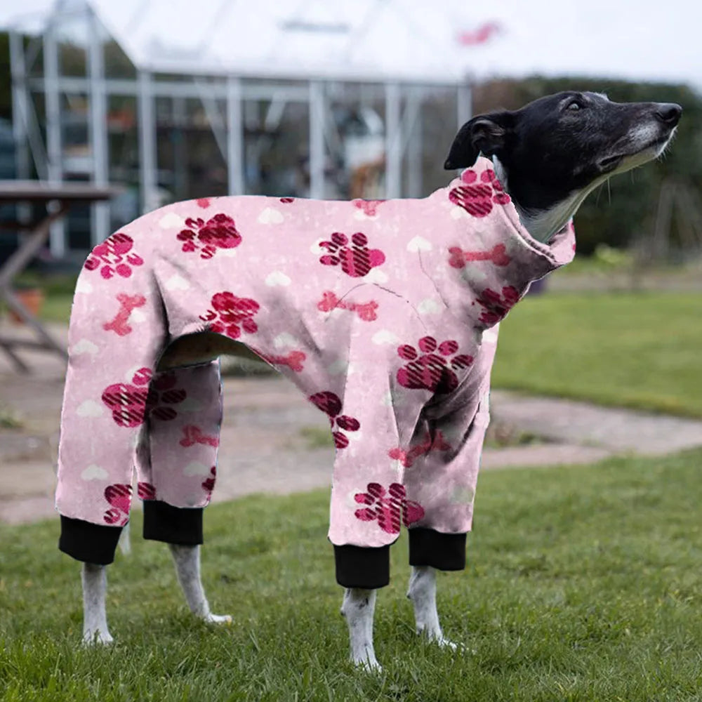 Whippet Paw Colorful Sweater